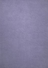 Company C: Leopardess Rug Lavender