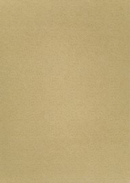 Company C: Leopardess Rug Straw