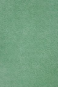 Company C: Leopardess Rug Jade