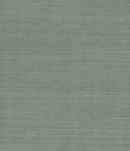 York Maguey Sisal in Sage GV0146NW   