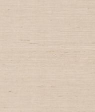 York Maguey Sisal in Grey & Taupe NZ0791NW     