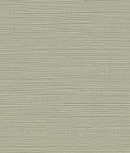 York Maguey Sisal in Putty GV0175NW     