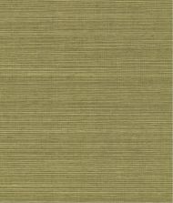 York Maguey Sisal in Fern GV0145NW    