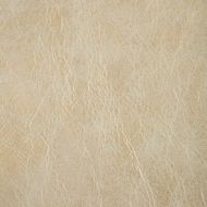 Kravet: L-GILDED.PLATINUM.0