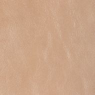 Kravet: L-GLISTEN.NUDE.0