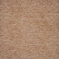 Maxwell: PASTURE # 427 VICUNA