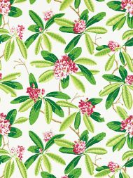 Scalamandre: Rhododendron Outdoor SC 0001 16454M Fuschia