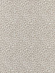 Scalamandre: Backyard Bengal Outdoor SC 0001 27316 Limestone