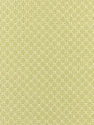 Scalamandre: Cape May Outdoor SC 0002 27317 Key Lime
