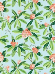 Scalamandre: Rhododendron Outdoor SC 0003 16454M Coral on Aqua