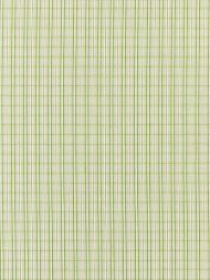 Scalamandre: Check Please Outdoor SC 0003 27318 Fern