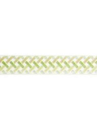 Scalamandre: Parquet Velvet Tape SC 0003 T3326 Meadow