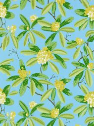 Scalamandre: Rhododendron Outdoor SC 0004 16454M Carolina