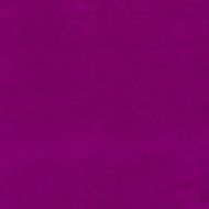 Kravet: Versailles Velvet VERSAILLES.E29403.0