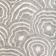 Corey Damon Jenkins for Kravet: Panache WP W3823.81.0 Noir