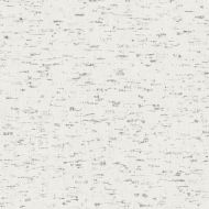 Winfield Thybony for Kravet: Iberian Cork WP WBP10608.WT.0 Harbor Grey