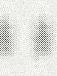 Hinson for Scalamandre: Lee WP WHN 000E P0665 Black on White