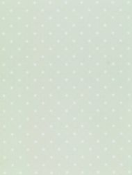 Hinson for Scalamandre: Trixie WHN 00WG P1003 White on Pale Green