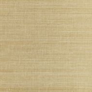 Scalamandre: Metal Sisal SC 0001 WP88338 White Gold
