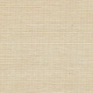 Winfield Thybony for Kravet: Sisal WP WSS4504.WT.0 Cream