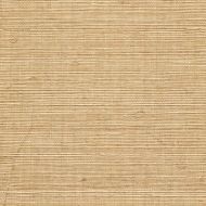 Winfield Thybony for Kravet: Sisal WP WSS4512.WT.0 Tan