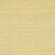 Winfield Thybony for Kravet: Metallic Sisal WP WSS4520.WT.0 Glistening Ore