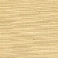 Winfield Thybony for Kravet: Sisal WP WSS4521.WT.0 Camomile