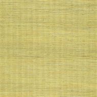 Winfield Thybony for Kravet: Metallic Sisal WP WSS4528.WT.0 Lemon Grass
