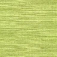 Winfield Thybony for Kravet: Sisal WP WSS4529.WT.0 Margarita