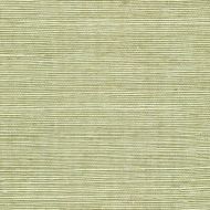 Winfield Thybony for Kravet: Sisal WP WSS4531.WT.0 Fern
