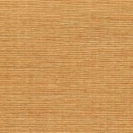 Winfield Thybony for Kravet: Sisal WP WSS4540.WT.0 Ecru