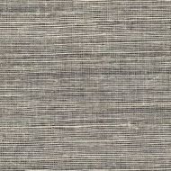 Winfield Thybony for Kravet: Metallic Sisal WP WSS4576.WT.0 Shadow