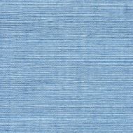 Winfield Thybony for Kravet: Sisal WP WSS4591.WT.0 Blue Mist
